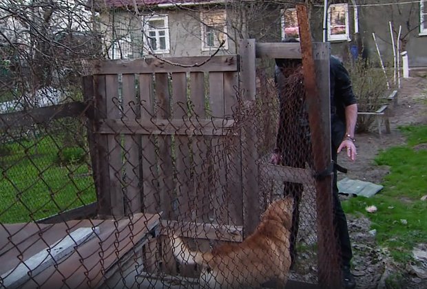 Александр Шепс из «Битвы экстрасенсов»