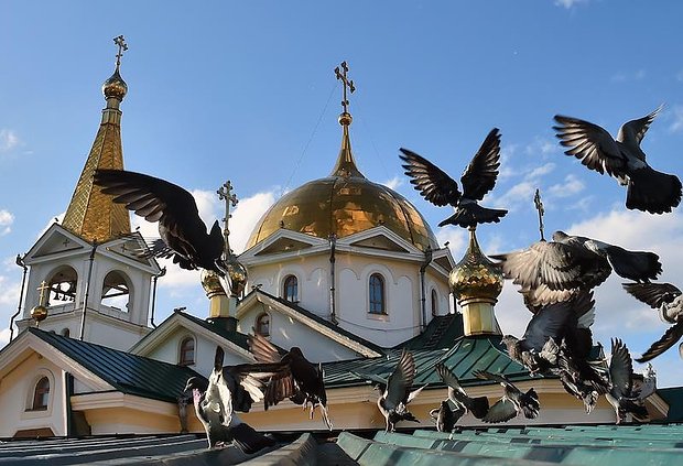 Какой сегодня праздник