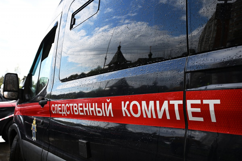 Задержание военкора Михаила Полынкова