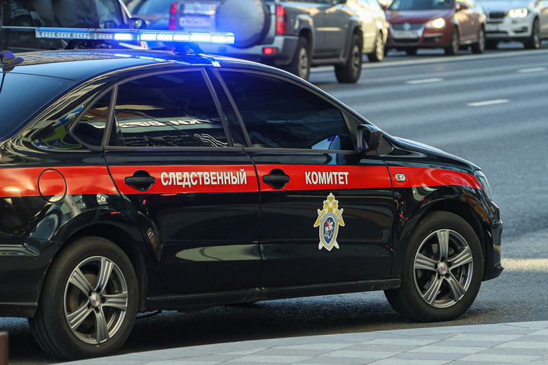 Решение суда по делу о расправе над пятилетним Далером Бабиевым