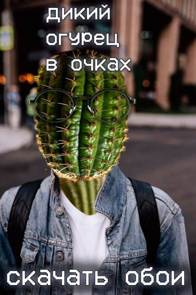 Дикий огурец