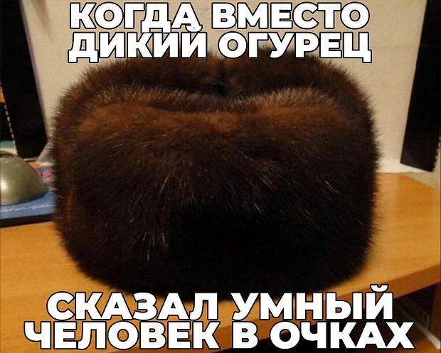 Дикий огурец