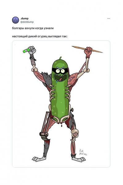 Дикий огурец