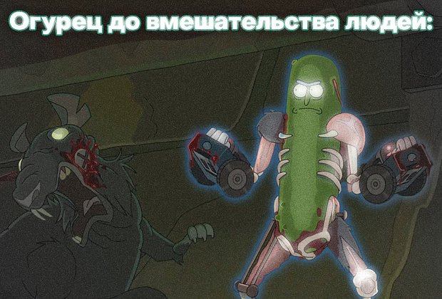 Дикий огурец