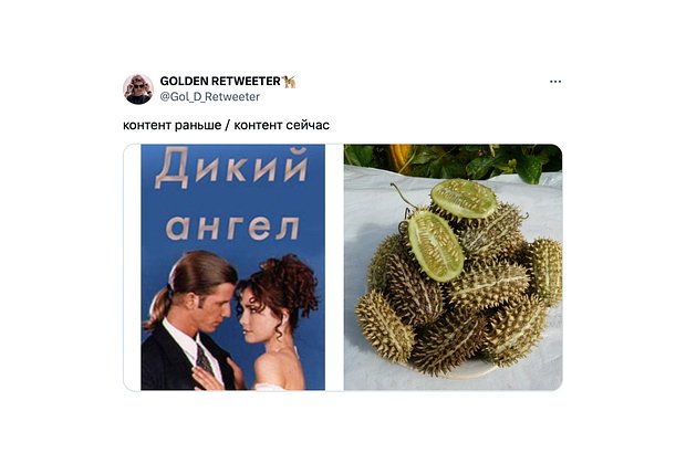 Дикий огурец