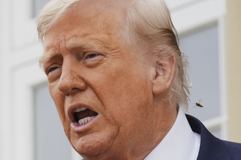 Подготовка к встрече Путина и Трампа
