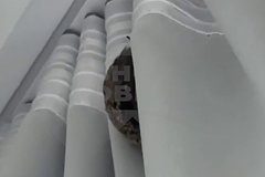 Россиянка покрылась красными пятнами из-за животной находки в квартире