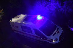 Российский школьник порвал почку после падения с лошади