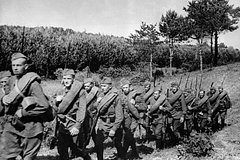 Стал известен один из секретов победы над Наполеоном и Гитлером