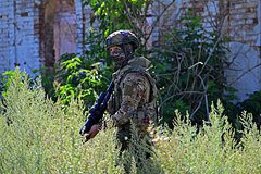 В ЛНР назвали последствия взятия Серебрянского леса