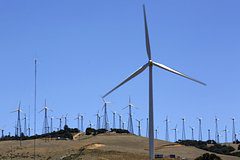 Власти США откажутся от финансирования зеленой энергетики