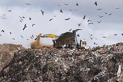 Женщина выбросила дорогое украшение и получила его назад