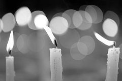 17-летний игрок в крикет умер в Австралии после удара мячом