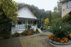 Дачникам посоветовали сделать фото участка перед зимой