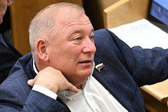 Депутат Госдумы прокомментировал просьбу генпрокурора лишить его неприкосновенности