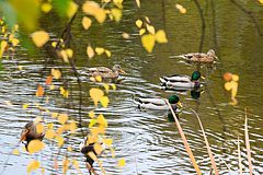 Москвичам назвали время прихода тепла