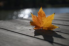 Москвичам пообещали сентябрьскую погоду