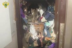 Москвичка устроила в квартире свалку с кошками