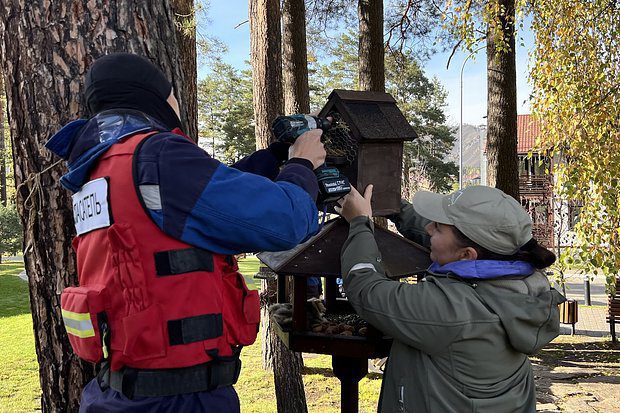На курорте Сбера занялись восстановлением популяции белки-телеутки