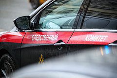 Нападение стаи собак на ребенка в российском регионе привело к задержанию