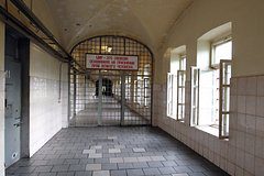 Названо решение по уголовному делу против избившего россиянина из-за намаза бойца ММА