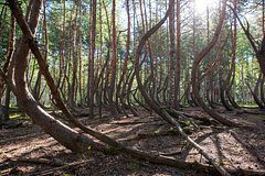 Названы самые мистические места России