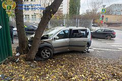 Подросток в Москве врезался в дерево из-за педалей в машине