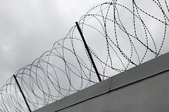 Председателя организации по защите семейных ценностей арестовали за торговлю детьми