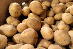 Россиян научили правильно хранить картофель