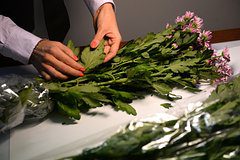 Россиян предупредили о ставшей популярной у мошенников схеме