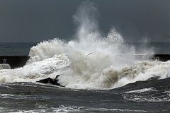 Россиянин проигнорировал большие волны во Вьетнаме и оказался унесенным на глубину