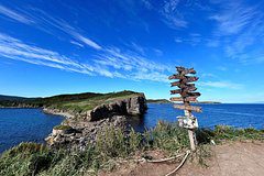 Россиянка описала жизнь в одном регионе страны фразой «как тут не завидовать?»