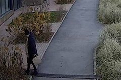 Россиянку обвинили в отравлении собак