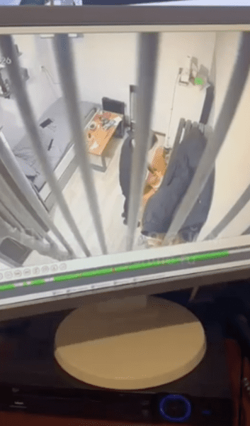 Смерть Камо Московского