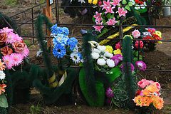 Смерть россиянки на могиле погибшего на СВО сына объяснили