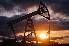 Трамп предупредил Индию о последствиях закупок российской нефти