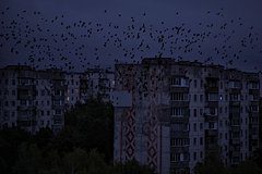 Украина спрятала аккумуляторные батареи на случай блэкаута