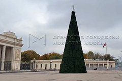 В центре Москвы установили новогоднюю елку