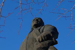 В Подмосковье пропал Ленин