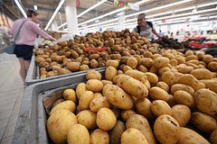 В России пообещали не допустить взлета цен на картофель