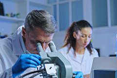 В России создали магнит для чумы