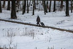 Вероятность скорого выпадения снега в европейской части России оценили