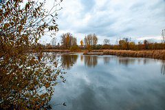 Взорвавший автомобиль российского офицера спрятал СВУ в лесу