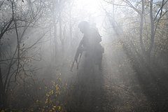 Засунувшим участника СВО в багажник похитителям огласили наказание