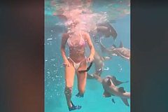 Знаменитая порнозвезда столкнулась с акулой