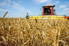 Экспорт российского зерна