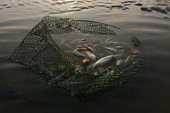 Франция отправила Украине рыболовные сети для противодействия БПЛА