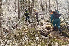 Исчезновение семьи Усольцевых в тайге Красноярского края