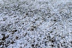 Москвичам назвали сроки наступления зимы