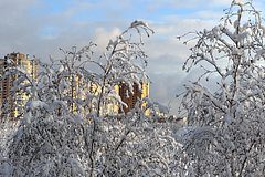 Москвичей предупредили о ледяном дожде